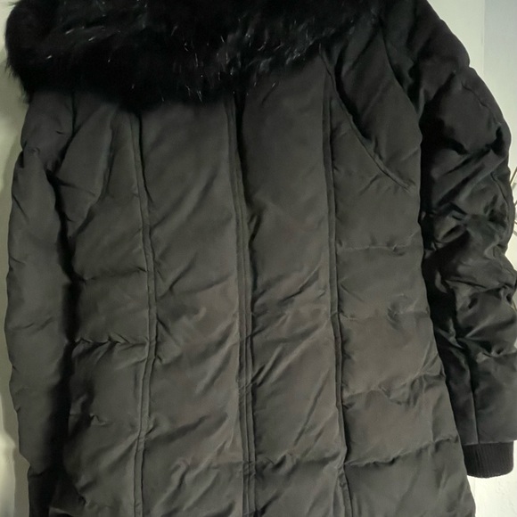 Express Black Down Coat - Picture 5 of 5